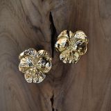 WhatsApp Image 2025-11-26 at 21.29.08