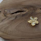 WhatsApp Image 2025-11-27 at 17.31.15 (2)