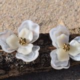 WhatsApp Image 2025-12-01 at 14.53.41 (1)