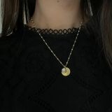 WhatsApp Image 2025-12-29 at 15.51.54