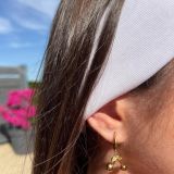 WhatsApp Image 2026-04-12 at 17.21.16 (1)