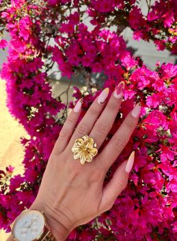 WhatsApp Image 2026-04-10 at 17.51.58